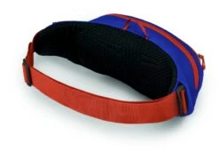 Osprey Daylite Heuptas - Blauw/Oranje -Tassen Winkel 1900 1425 daylitewaist s23 sideback silverliningblueberry 10005144