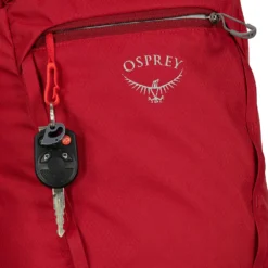 Draagtas Osprey Daylite Tote Pack Wave Blue -Tassen Winkel 3 0142 daylitecinch s21 detail1 cosmicred 4